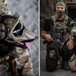 genetically-modified-superdogs-could-become-the-us-militarys-next-secret-weapon